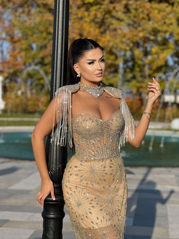 Gold Crystal Sheer Gown - Image 3